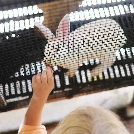 Casa Altamira Vendégház Espadanedo