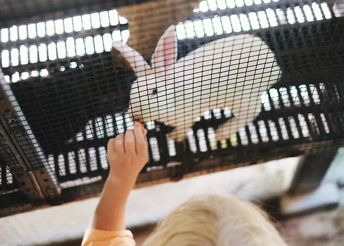 Casa Altamira Гостевой дом Espadanedo (Macedo de Cavaleiros)